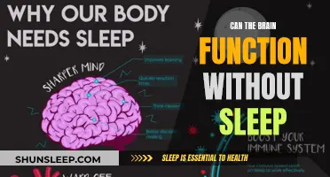 Brain Activity: Sleep Deprivation and Functioning