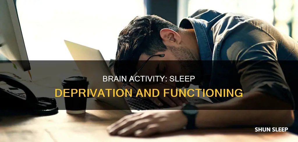 can the brain function without sleep
