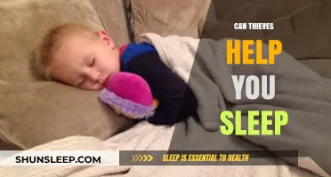 Unexpected Allies: How Thieves Might Improve Your Sleep Quality