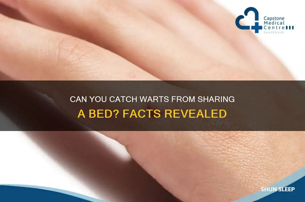 can u get warts from sleeping in same bed