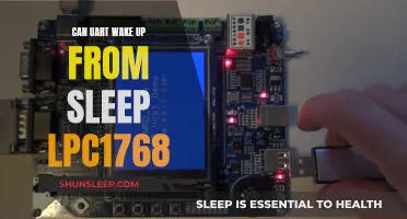 Uart Sleep Mode: Waking Up the LPC1768