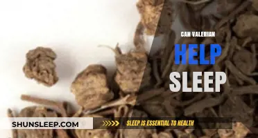 Valerian Root for Sleep: Natural Remedy or Myth?