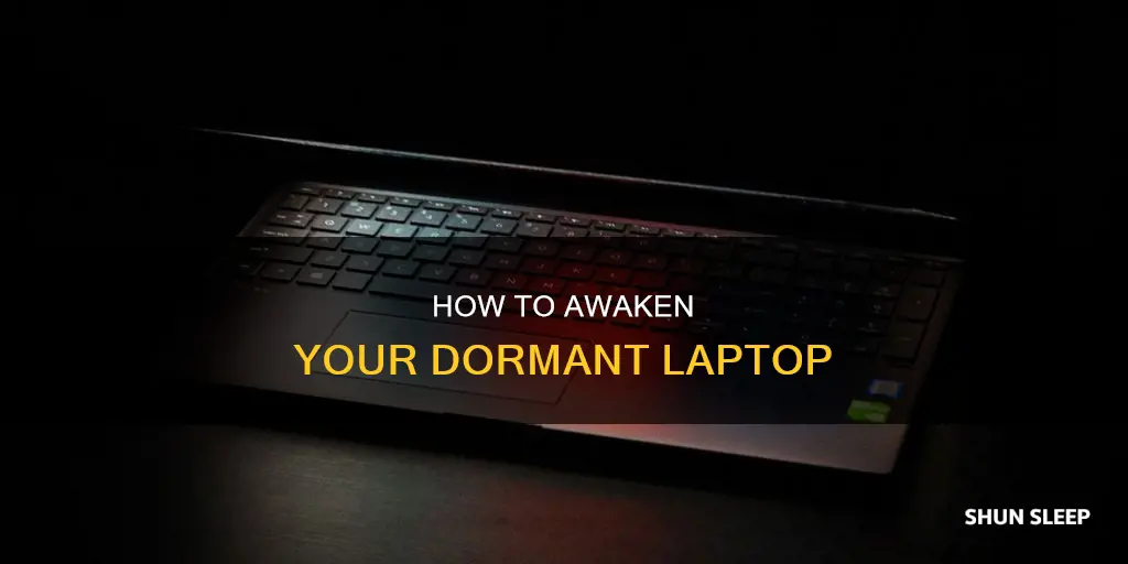 can wake up sleeping laptop