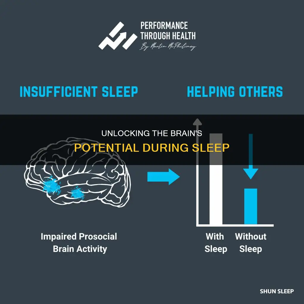 can we consciously use our brains as we are sleeping