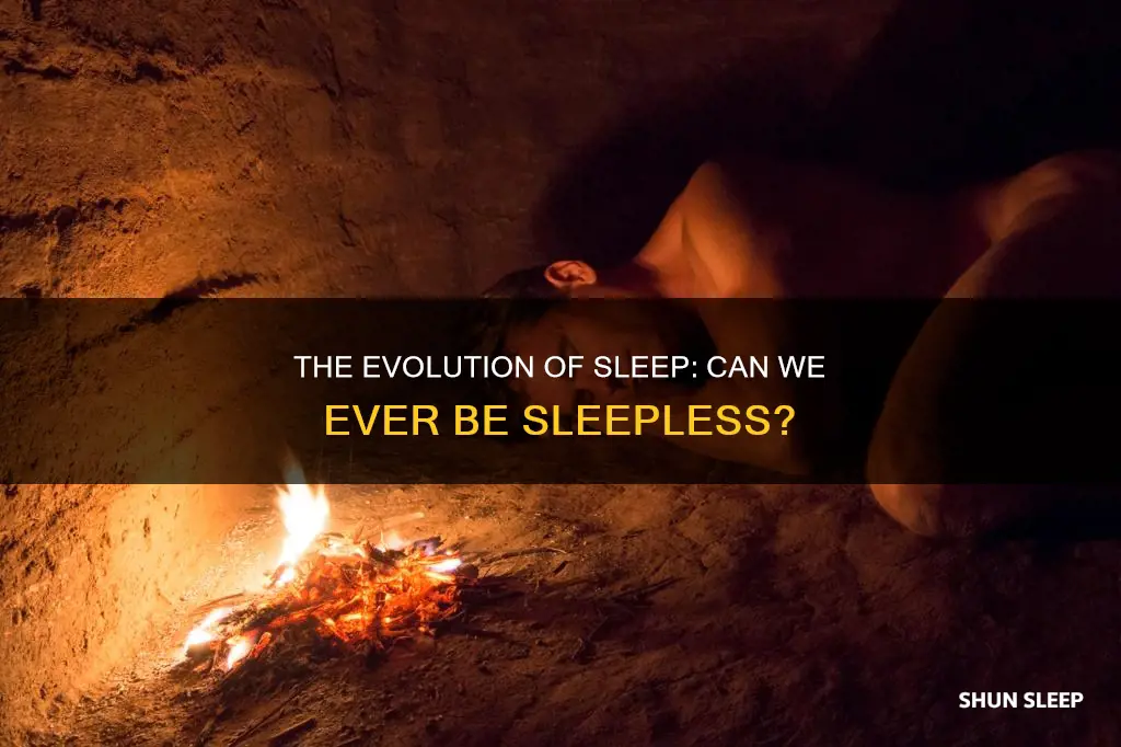 can we evolve to not need sleep
