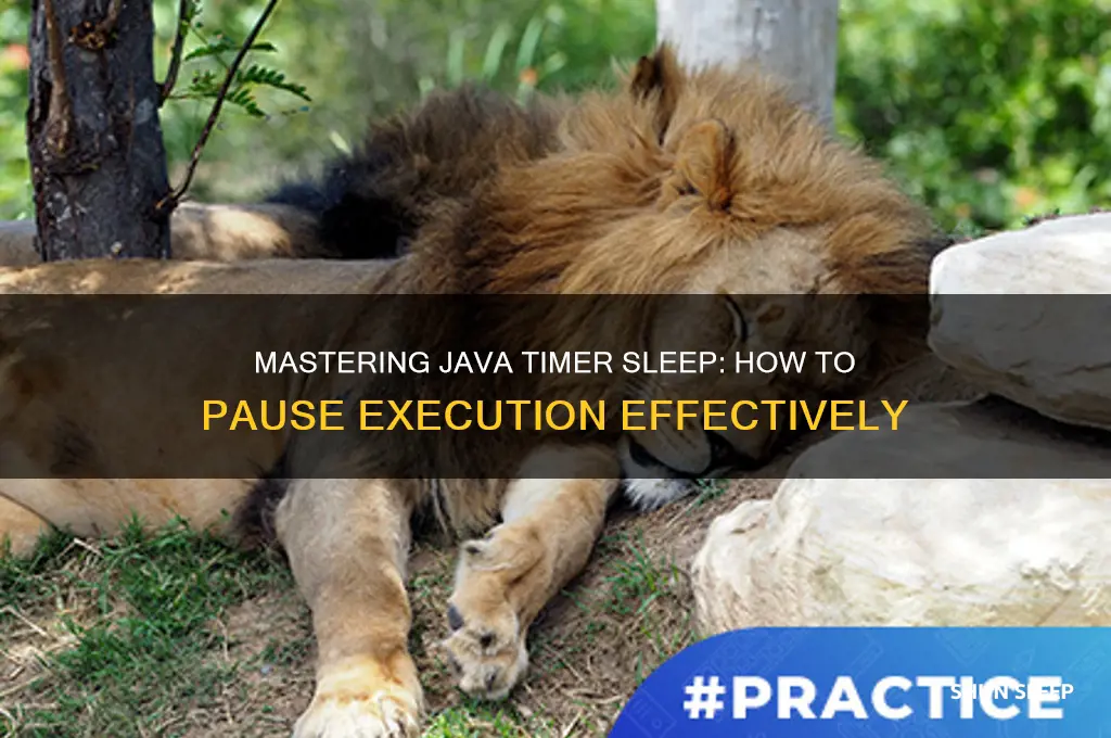 can we get java timer sleep for some time