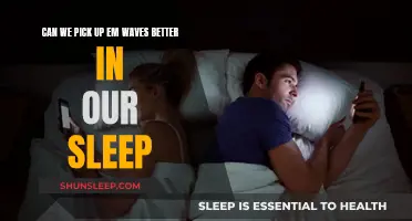 EM Waves and Sleep: A Better Reception?