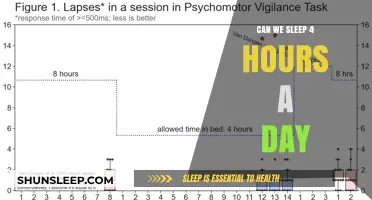 Unlocking Productivity: The Myth of 4-Hour Sleep Cycles