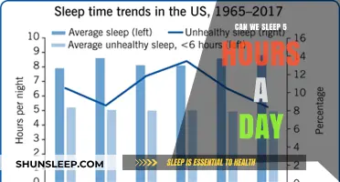 Unlocking Productivity: The Myth of 5-Hour Sleep Cycles