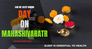 Daytime Sleep on Mahashivaratri: Is It Allowed?