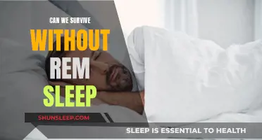 The Importance of REM Sleep for Survival