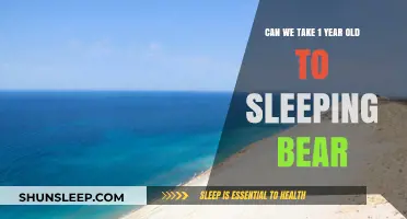 Exploring Sleeping Bear with a Toddler: Is It Worth It?
