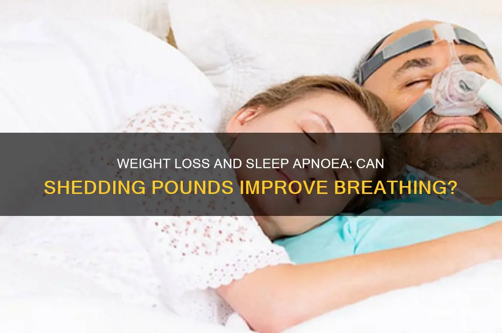can weight loss help sleep apnoea