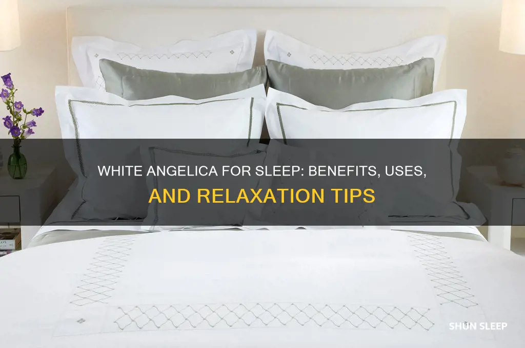 can white angelica help you sleep