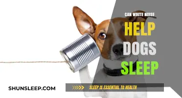 White Noise for Dogs: Enhancing Sleep Quality and Calmness