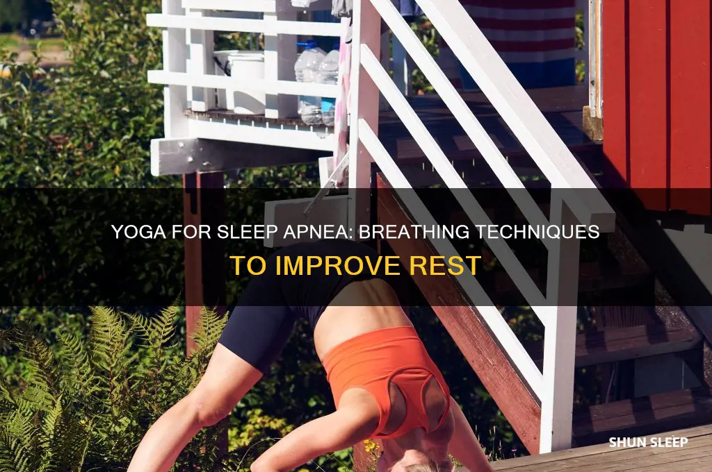 can yoga help sleep apnea