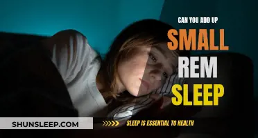 Accumulating REM Sleep: Adding Up Those Small Moments