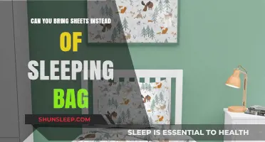 Sheets vs Sleeping Bags: What's Best for Camping?
