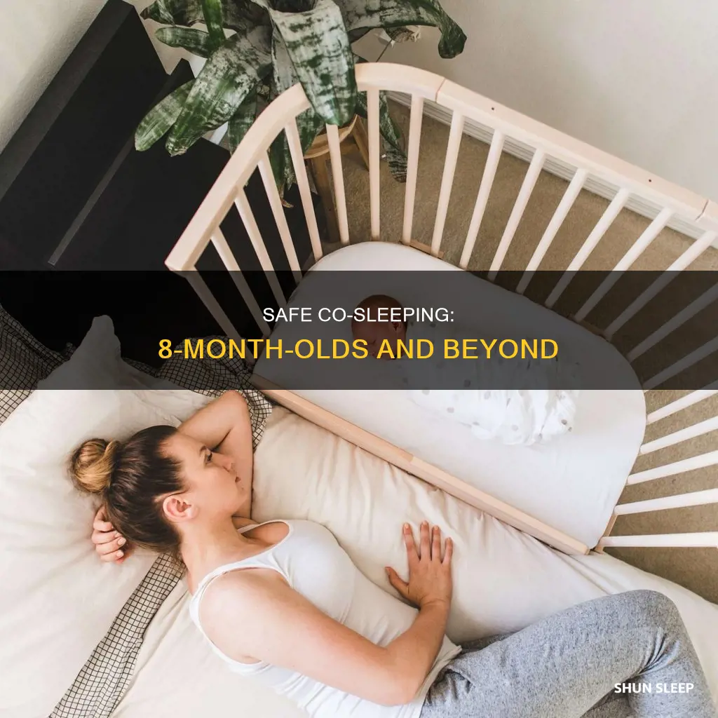 can you co sleep with an 8 month old