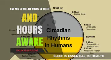 Unlocking Productivity: The Sleep-Wake Cycle Connection