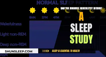 Diagnosing Narcolepsy: Sleep Study Necessity?