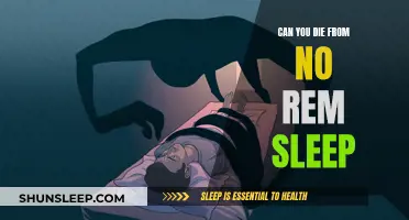 The Mystery of REM Sleep: Is It Deadly?