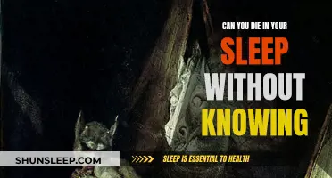 The Mystery of Sudden Death in Sleep