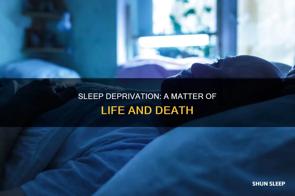 can you die without enough sleep