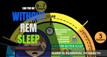 The Mystery of REM Sleep: Is It Deadly?