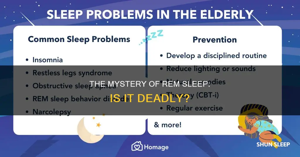 can you die without rem sleep