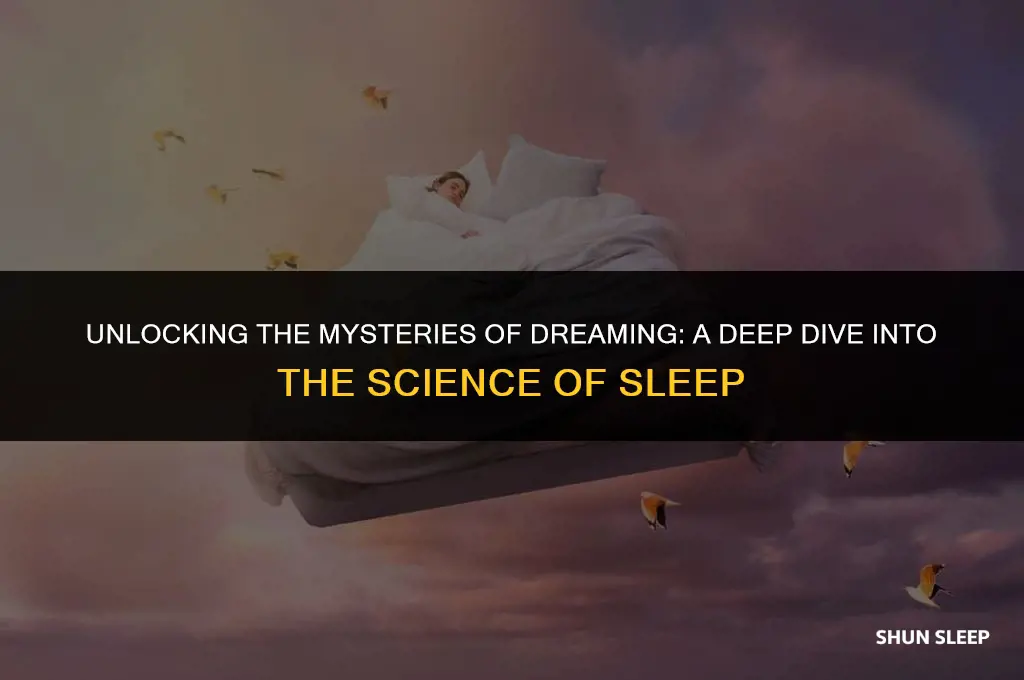 can you dream 2 hours into sleep