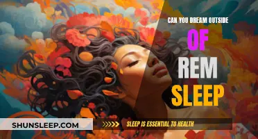 Dreaming Beyond REM Sleep: Is It Possible?