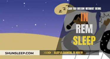 Dreaming Beyond REM Sleep: Is it Possible?