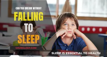 Dreaming Without Sleep: Is it Possible?