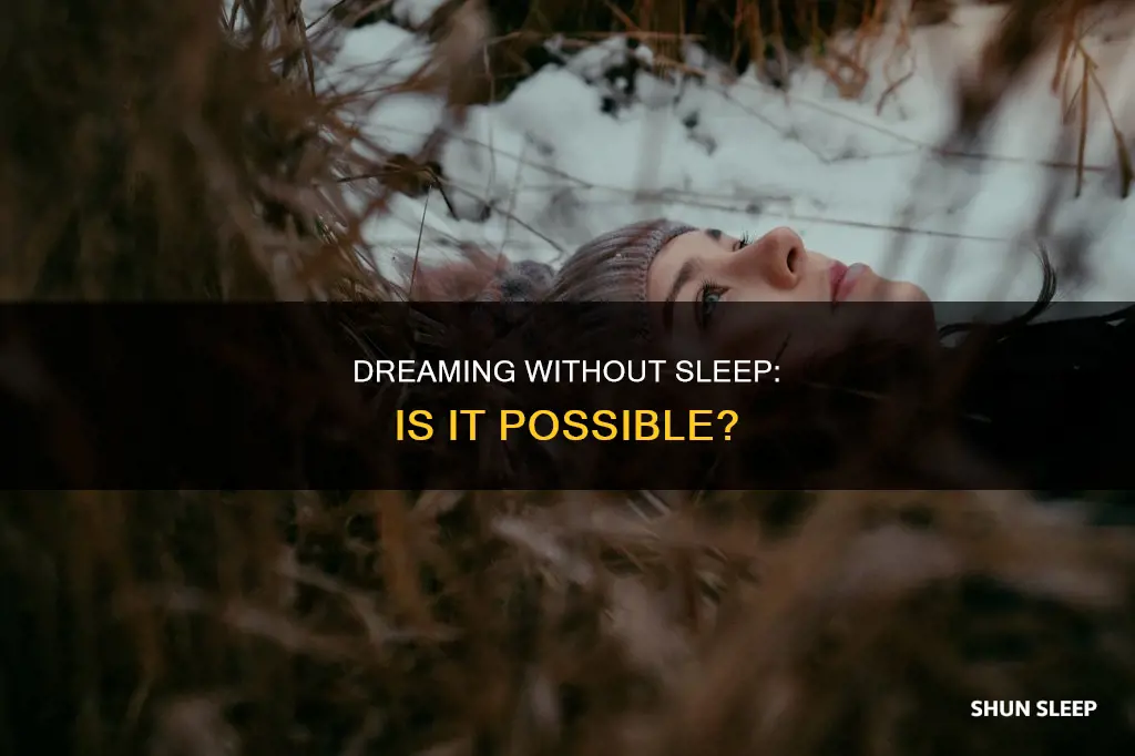 can you dream without falling to sleep