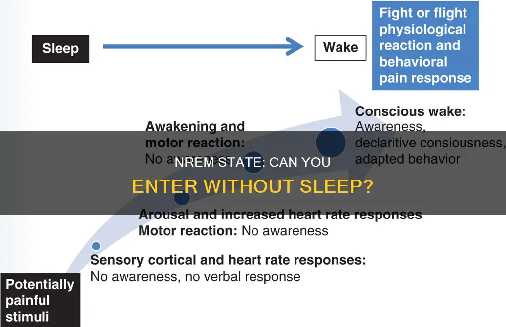 can you enter a nrem state without sleeping