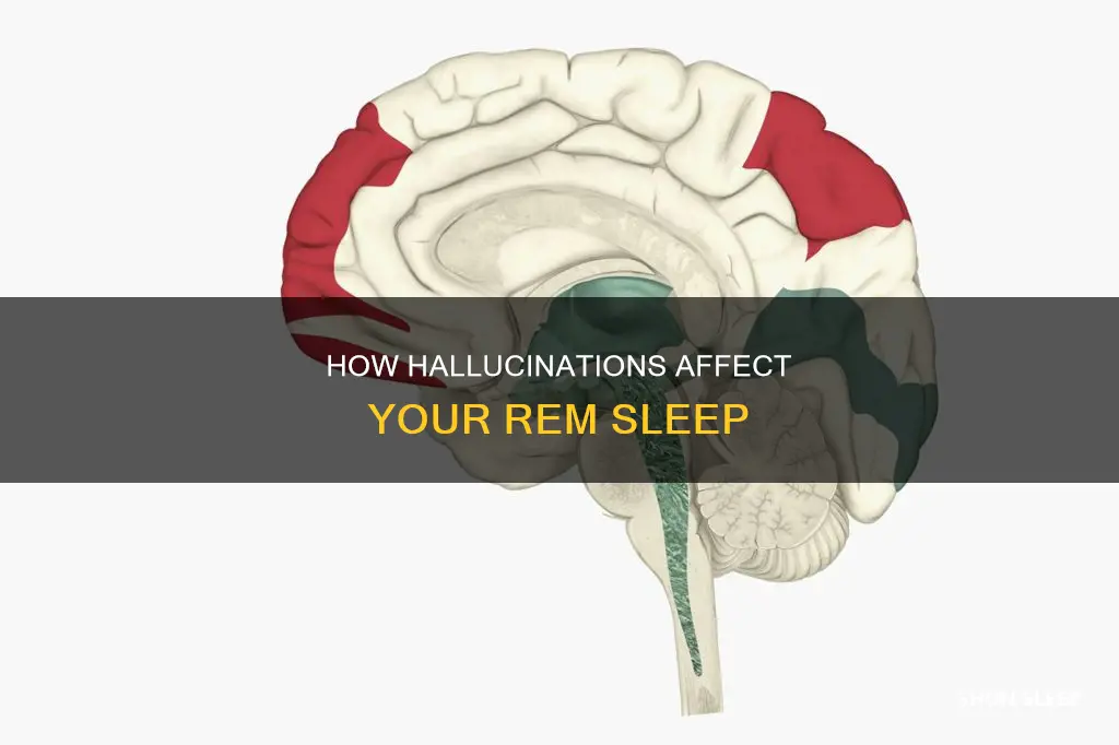 can you enter rem sleep on hallucinations