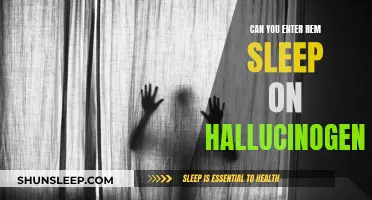 Hallucinogens and REM Sleep: A Complex Relationship