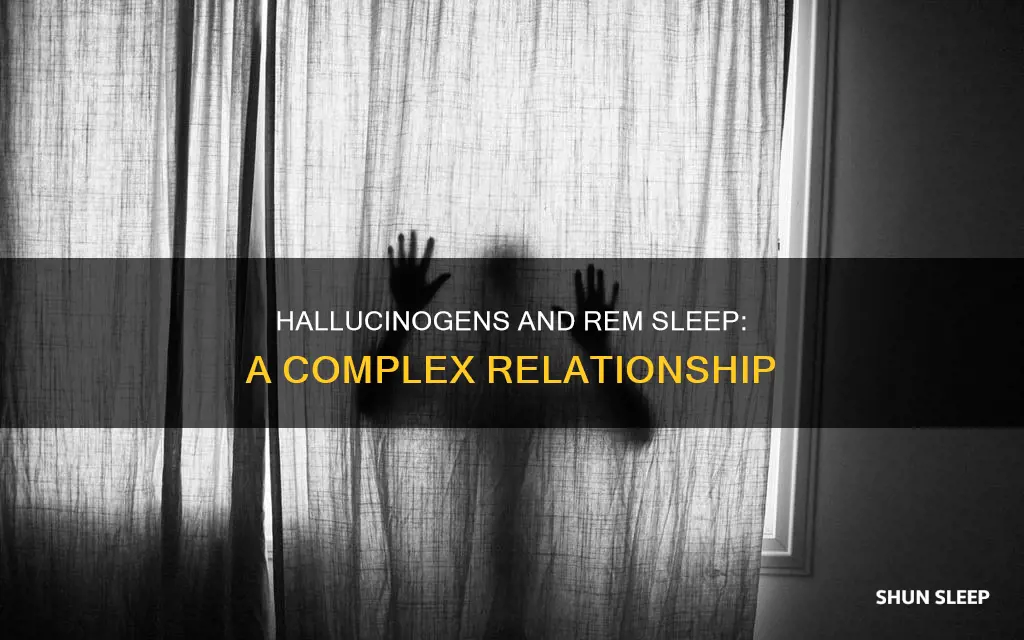 can you enter rem sleep on hallucinogens