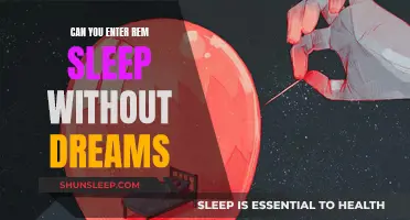 REM Sleep: Dreamless or Unremembered?