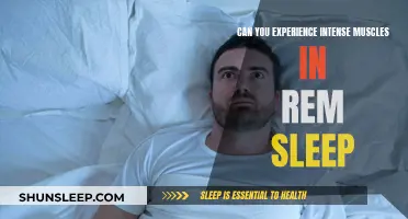 Muscle Memory and REM Sleep: A Connection?