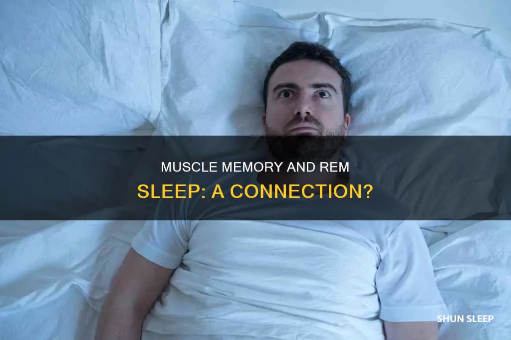 can you experience intense muscles in rem sleep