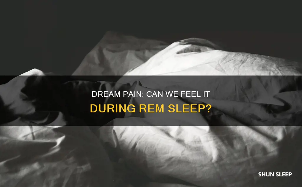 can you feel pain during rem sleep