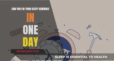 Resetting Your Sleep Schedule: One Day Challenge