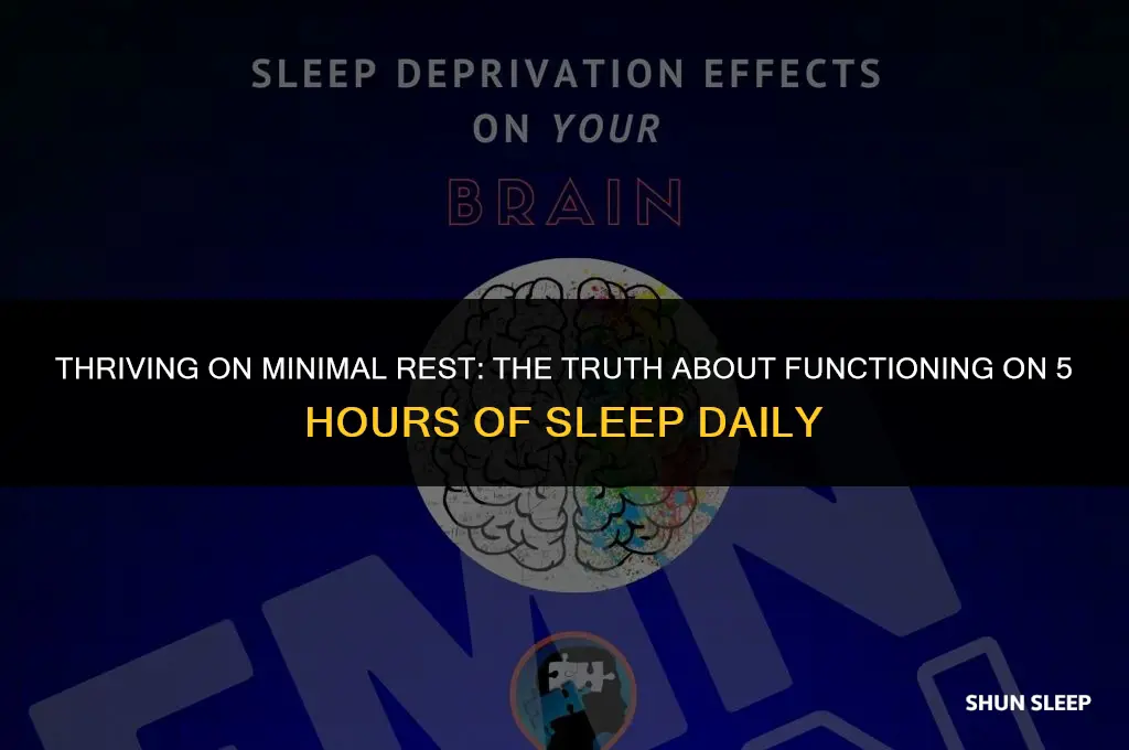 can you function on 5 hours of sleep everyday