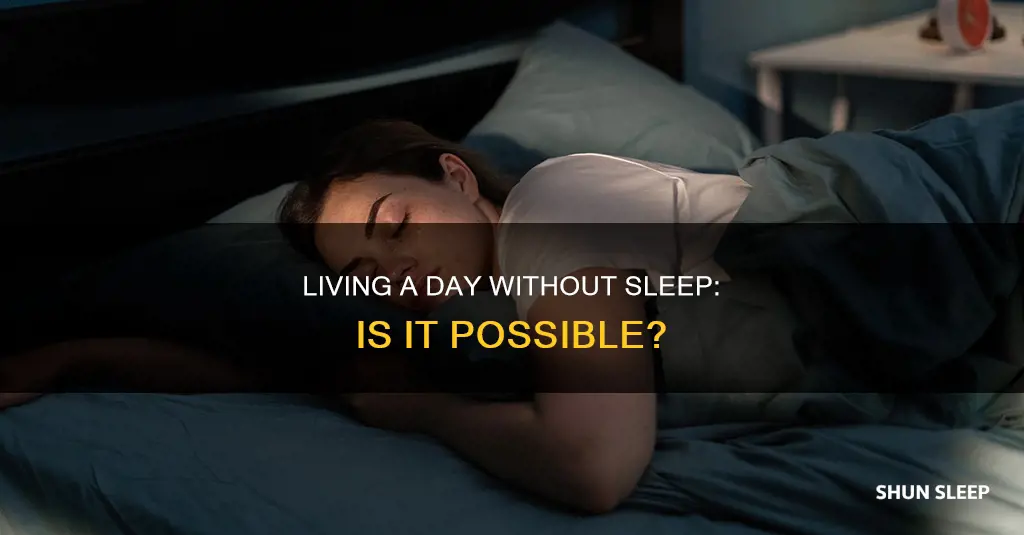 can you function without sleep for a day