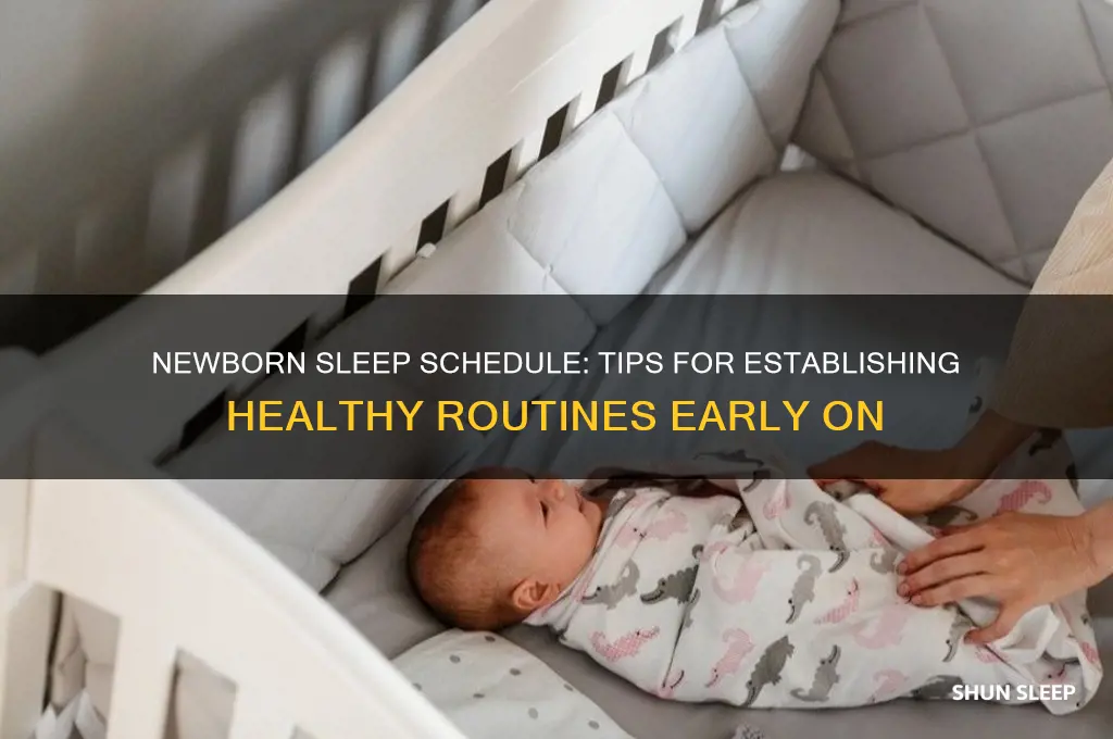 can you get a newborn on a sleep schedule