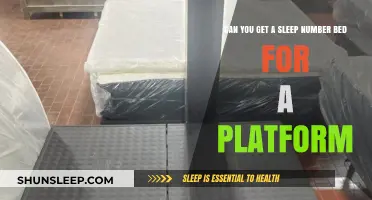 Sleep Number Beds on Platform Frames: Compatibility and Comfort Guide