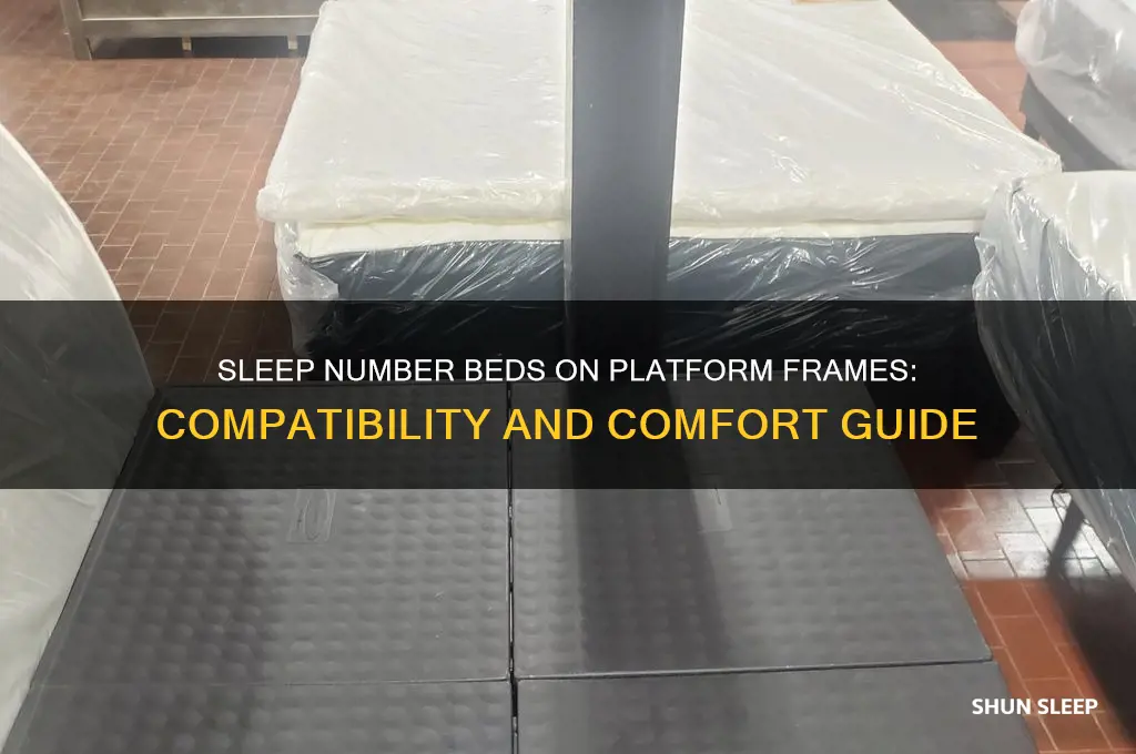 can you get a sleep number bed for a platform