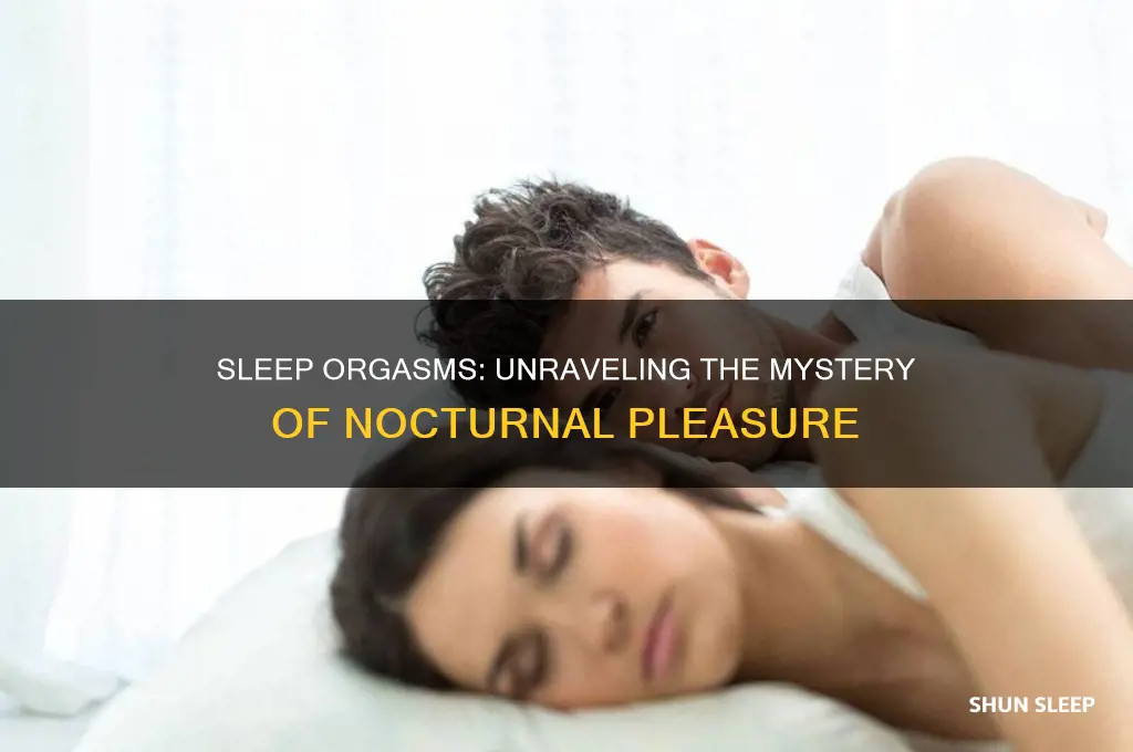 can you get an orgasm in your sleep